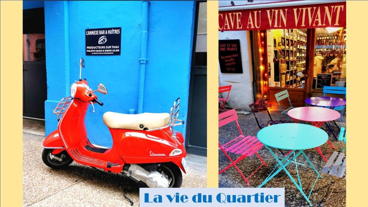 Hyper Centre Ville, Le Brion Appartement
